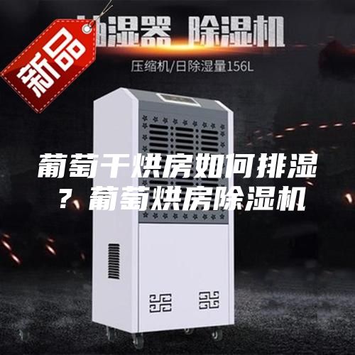 葡萄干烘房如何排湿？葡萄烘房除湿机