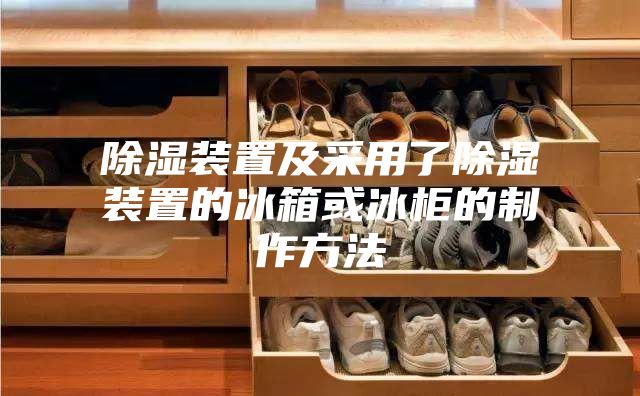 除湿装置及采用了除湿装置的冰箱或冰柜的制作方法