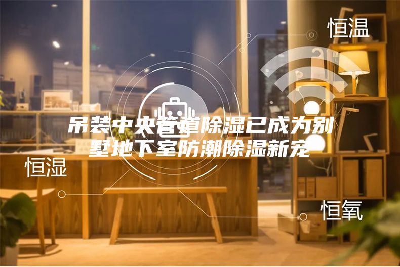 吊装中央管道除湿已成为别墅地下室防潮除湿新宠