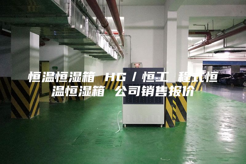 恒温恒湿箱 HG／恒工 程式恒温恒湿箱 公司销售报价