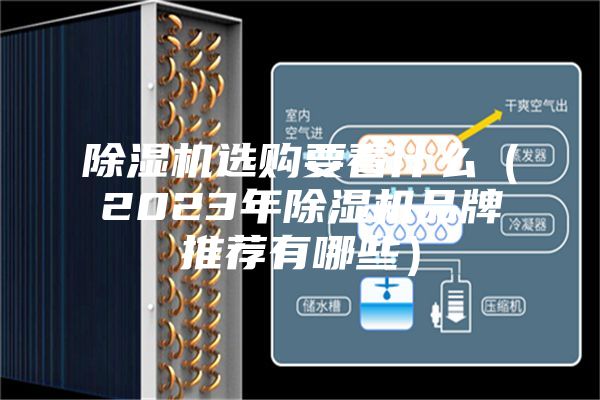除湿机选购要看什么（2023年除湿机品牌推荐有哪些）