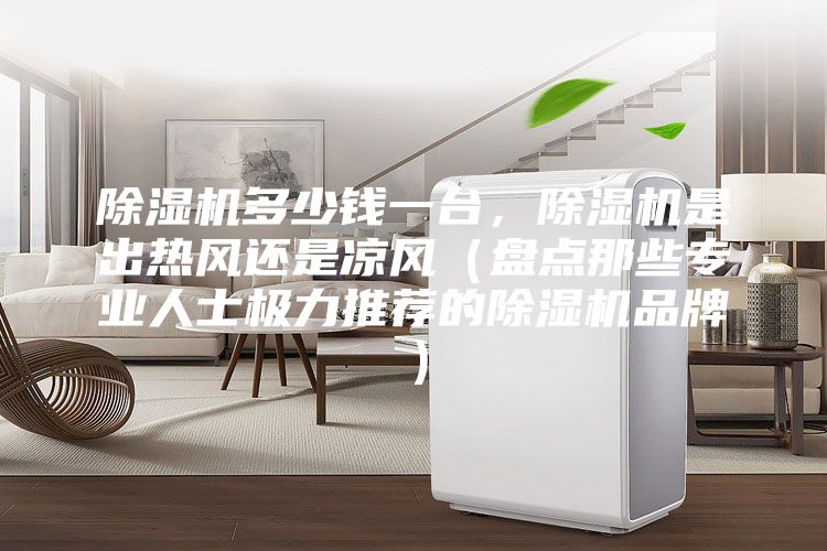 除湿机多少钱一台，除湿机是出热风还是凉风（盘点那些专业人士极力推荐的除湿机品牌）