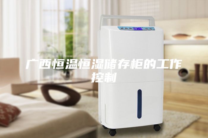 广西恒温恒湿储存柜的工作控制