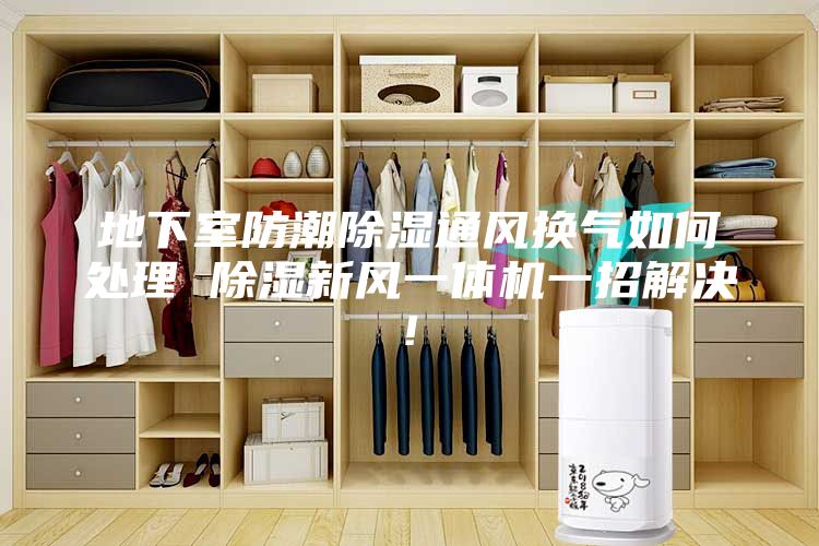 地下室防潮除湿通风换气如何处理 除湿新风一体机一招解决!