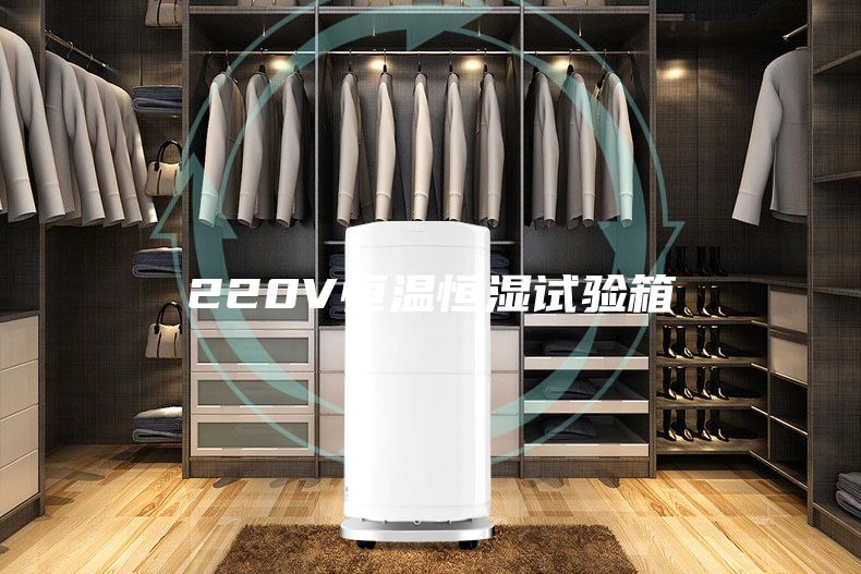 220V恒温恒湿试验箱