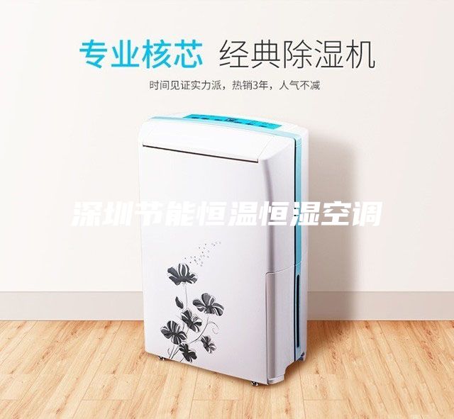 深圳节能恒温恒湿空调