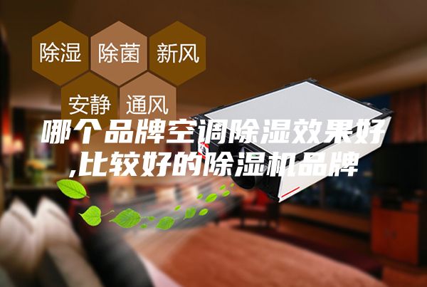 哪个品牌空调除湿效果好,比较好的除湿机品牌