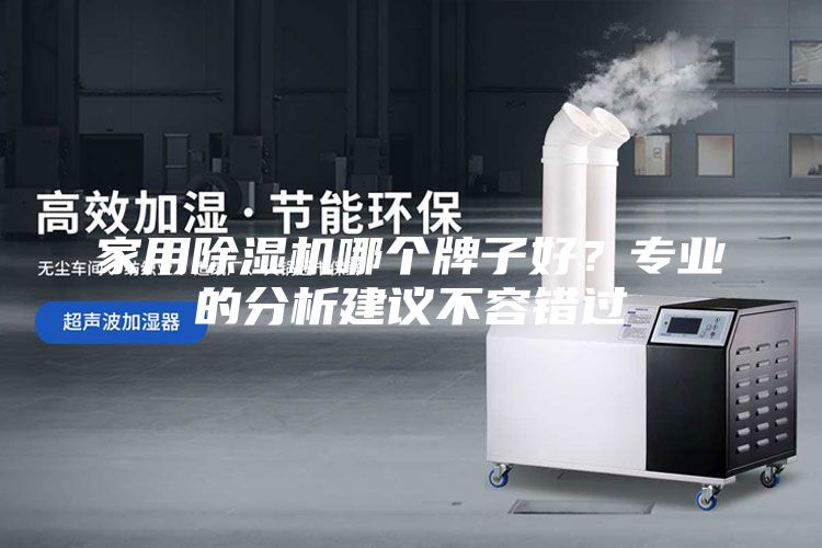 家用除湿机哪个牌子好？专业的分析建议不容错过