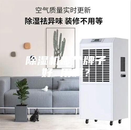 除湿机哪个牌子好 用啊？