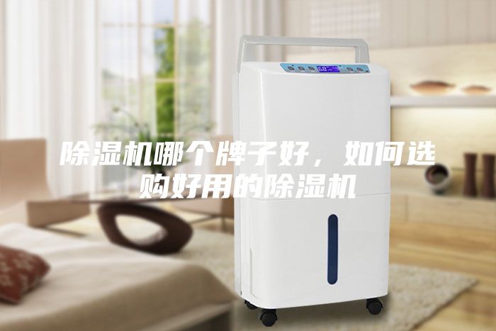 除湿机哪个牌子好，如何选购好用的除湿机