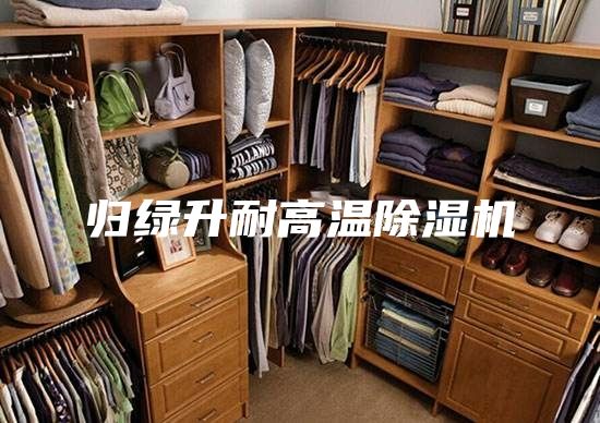 归绿升耐高温除湿机