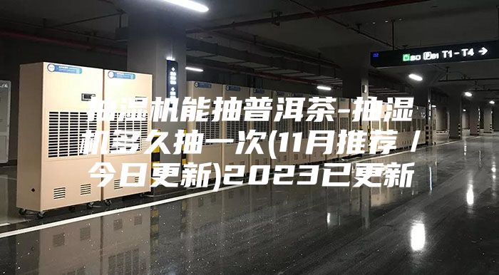 抽湿机能抽普洱茶-抽湿机多久抽一次(11月推荐／今日更新)2023已更新