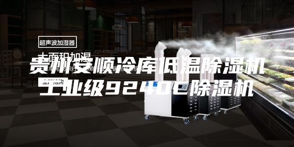贵州安顺冷库低温除湿机工业级9240C除湿机