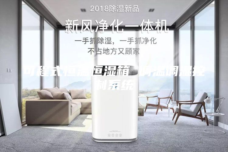 可程式恒温恒湿箱 调温调湿控制系统