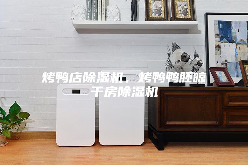 烤鸭店除湿机,烤鸭鸭胚晾干房除湿机