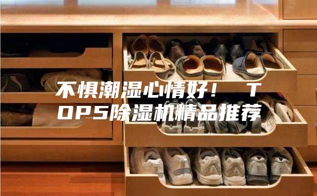 不惧潮湿心情好！ TOP5除湿机精品推荐