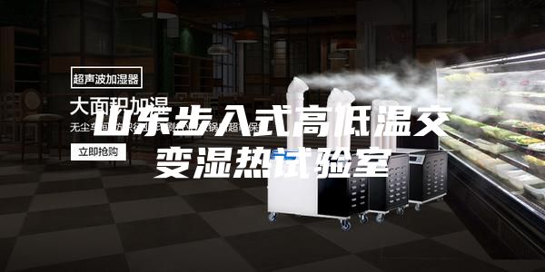 山东步入式高低温交变湿热试验室