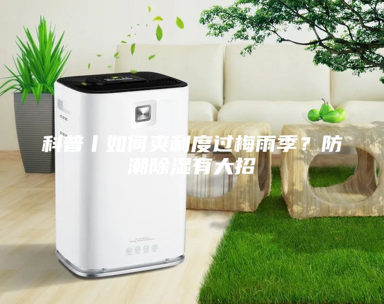 科普丨如何爽利度过梅雨季？防潮除湿有大招
