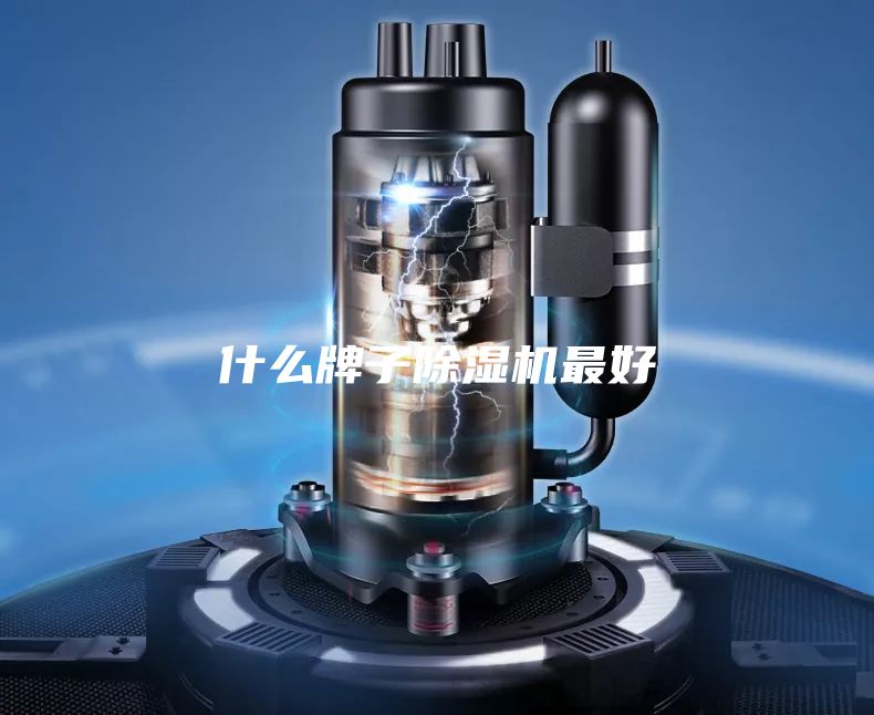 什么牌子除湿机最好