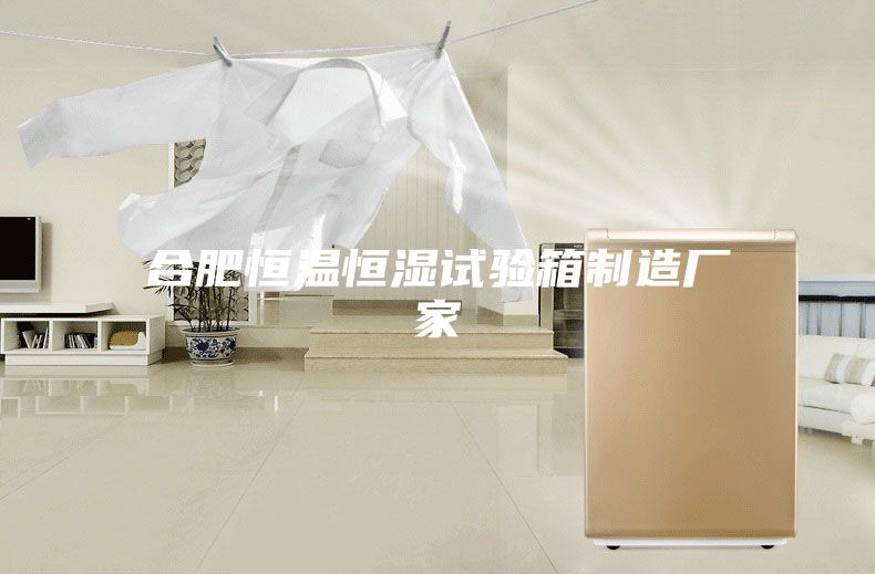 合肥恒温恒湿试验箱制造厂家
