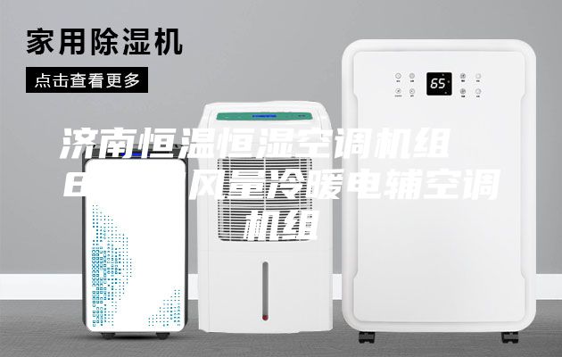 济南恒温恒湿空调机组  8000风量冷暖电辅空调机组