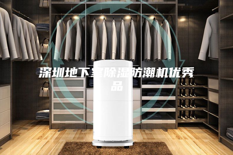 深圳地下室除湿防潮机优秀品