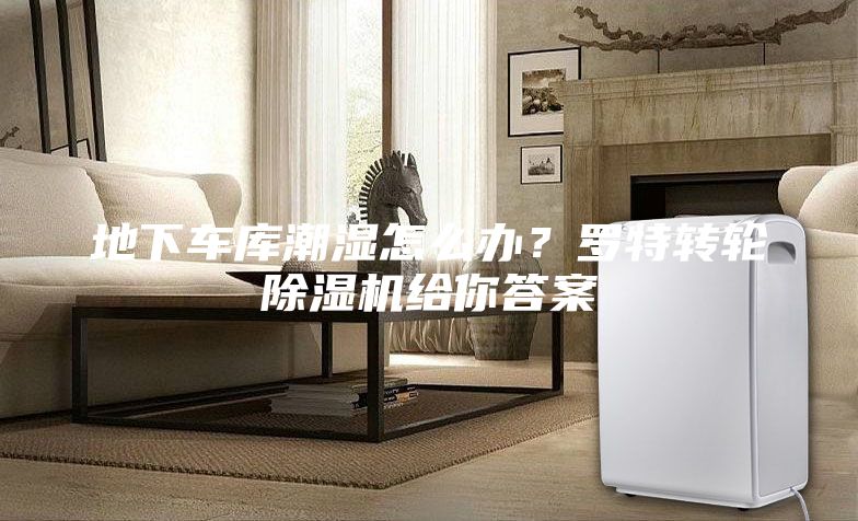 地下车库潮湿怎么办？罗特转轮除湿机给你答案