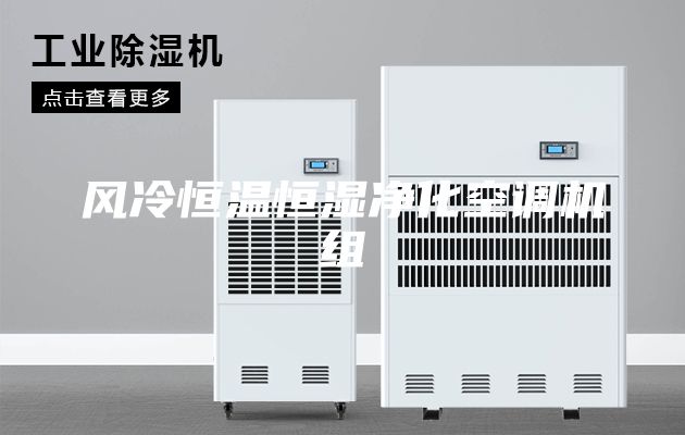 风冷恒温恒湿净化空调机组