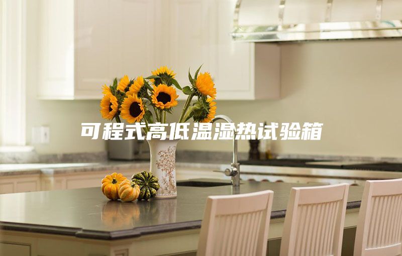 可程式高低温湿热试验箱
