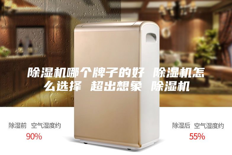 除湿机哪个牌子的好 除湿机怎么选择 超出想象 除湿机