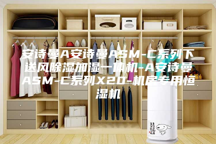 安诗曼A安诗曼ASM-C系列下送风除湿加湿一体机-A安诗曼ASM-C系列X20-机房专用恒湿机