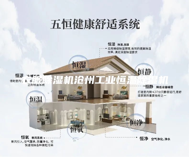 衣服除湿机沧州工业恒温除湿机