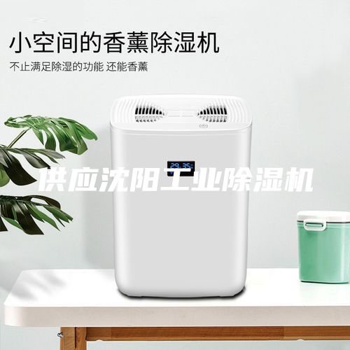 供应沈阳工业除湿机