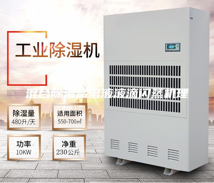 混合除湿盐溶液液滴闪蒸机理