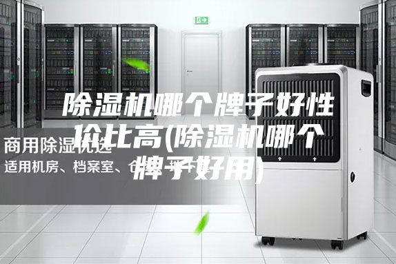 除湿机哪个牌子好性价比高(除湿机哪个牌子好用)