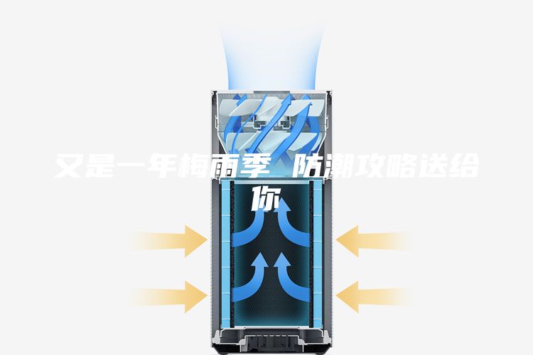 又是一年梅雨季 防潮攻略送给你