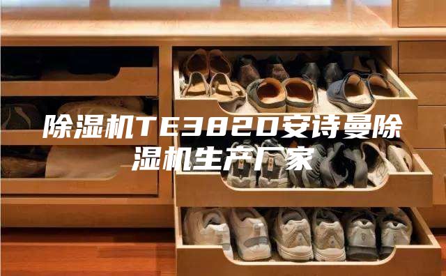除湿机TE382D安诗曼除湿机生产厂家