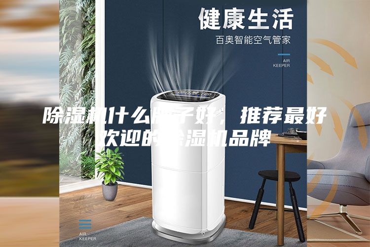 除湿机什么牌子好，推荐最好欢迎的除湿机品牌