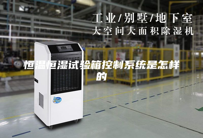 恒温恒湿试验箱控制系统是怎样的