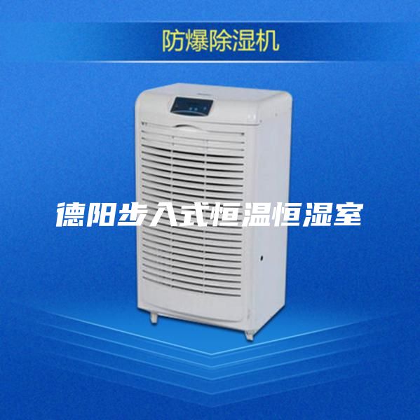 德阳步入式恒温恒湿室