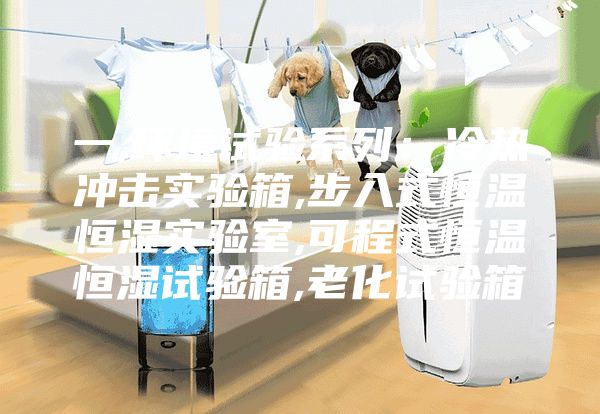 一,环境试验系列：冷热冲击实验箱,步入式恒温恒湿实验室,可程式恒温恒湿试验箱,老化试验箱