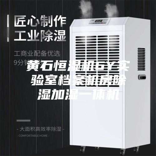 黄石恒湿机6Y实验室档案机房除湿加湿一体机