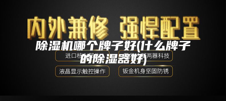 除湿机哪个牌子好(什么牌子的除湿器好)