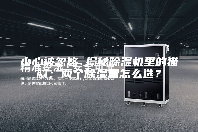 小心被忽悠 揭秘除湿机里的猫腻：两个除湿量怎么选？