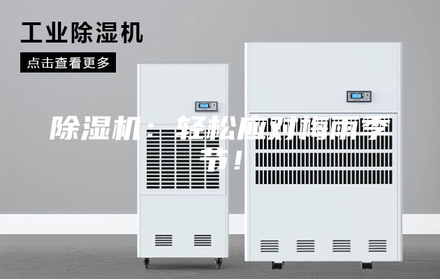 除湿机：轻松应对梅雨季节！