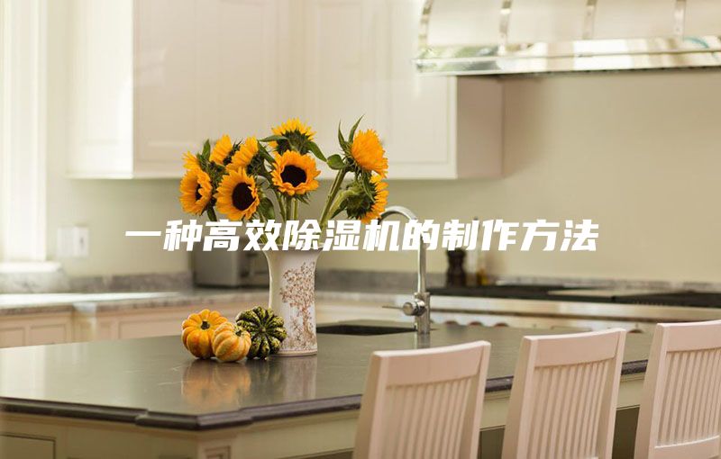 一种高效除湿机的制作方法