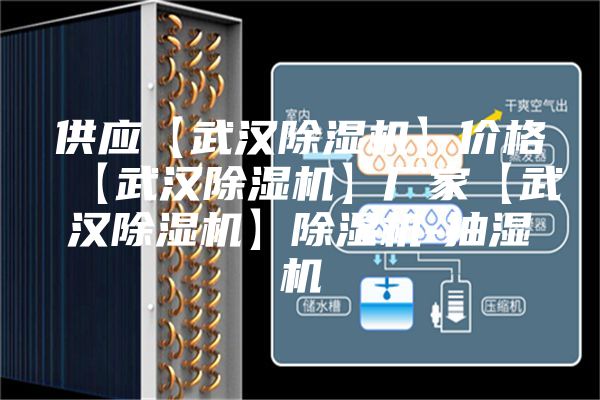 供应【武汉除湿机】价格【武汉除湿机】厂家【武汉除湿机】除湿机-抽湿机