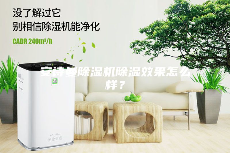 安诗曼除湿机除湿效果怎么样？