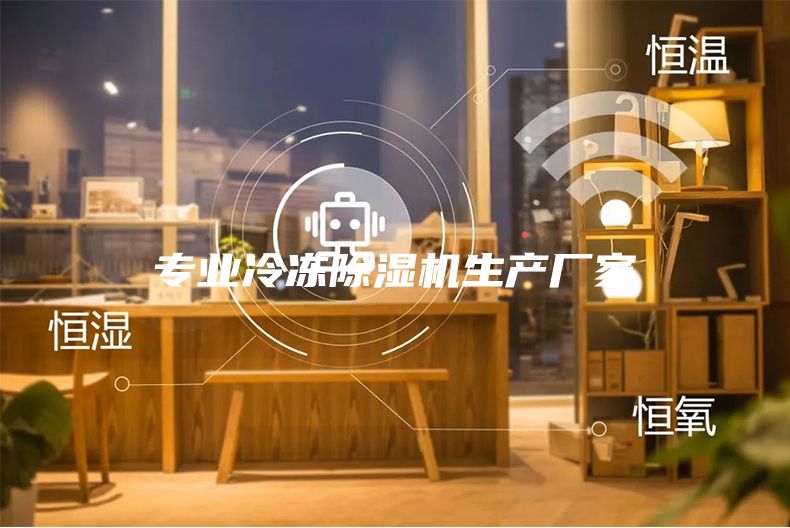 专业冷冻除湿机生产厂家