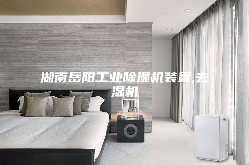 湖南岳阳工业除湿机装置,去湿机